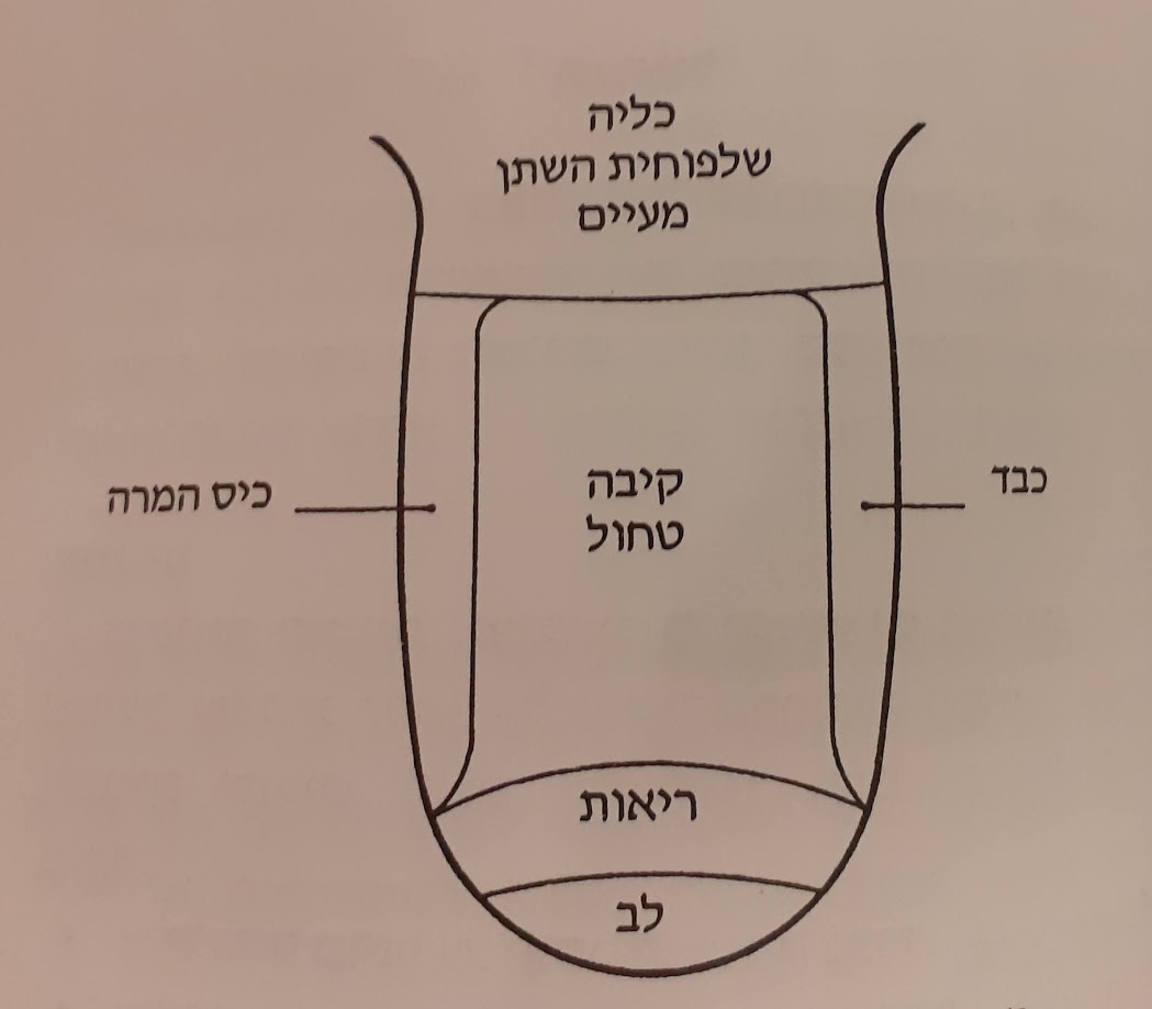 אבחנת לשון